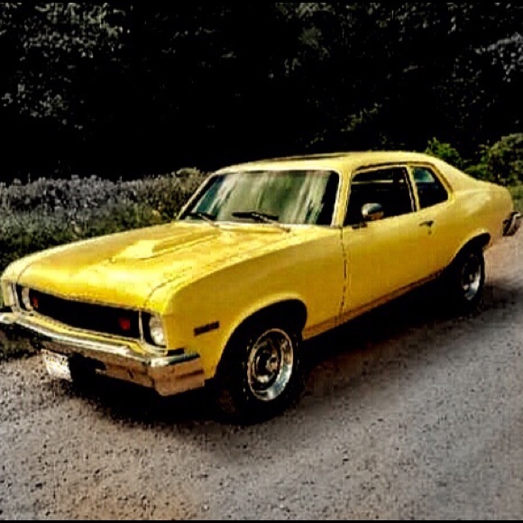 Meet your Posher, Jason - Picture 7 of 7